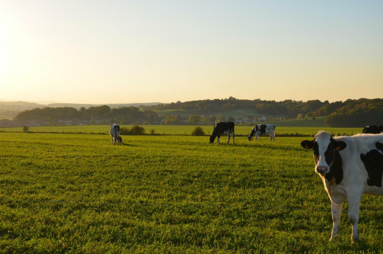 Gite Brin De Campagne Vaucremont Bagian luar foto
